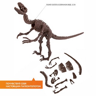 Раскопай скелет. Велоцираптор. Конструктор 4M 11