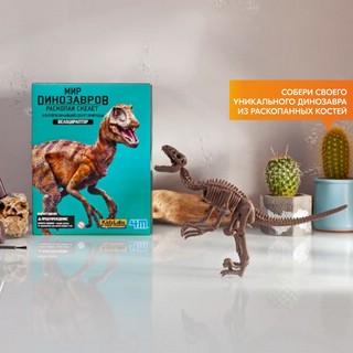Раскопай скелет. Велоцираптор. Конструктор 4M 5