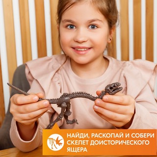 Раскопай скелет. Велоцираптор. Конструктор 4M 12