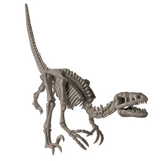 Раскопай скелет. Велоцираптор. Конструктор 4M 2