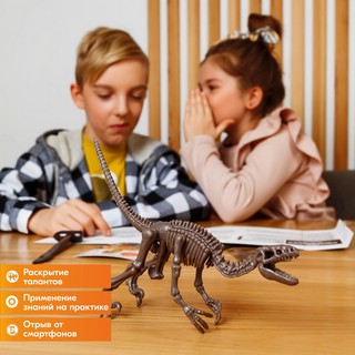 Раскопай скелет. Велоцираптор. Конструктор 4M 13