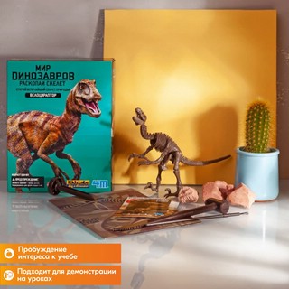 Раскопай скелет. Велоцираптор. Конструктор 4M 6