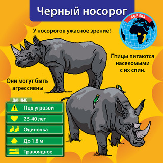 BrainBox Обучающая игра В мире животных 3