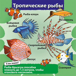 BrainBox Обучающая игра Природа 3