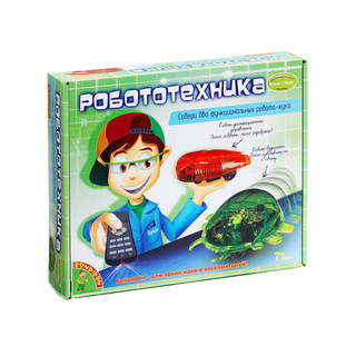 Bondibon Робототехника 1