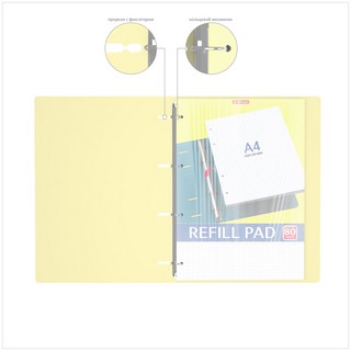 Тетрадь с пластиковой обложкой 'Pastel', А4, 80 листов, клетка ErichKrause, цвет в асс. 3