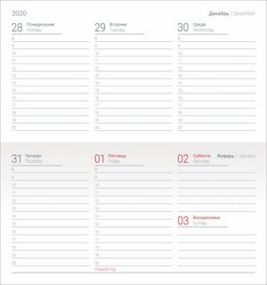 Еженедельник Infolio Geometric датированный на 2021 г, 64 л, 160х90 мм, голубой 3