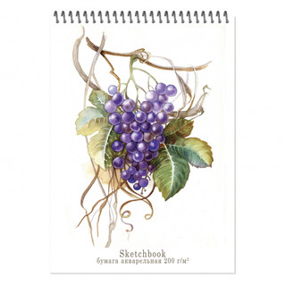 Блокнот-скетчбук А4 20л, ' Aquarelle' виноград, артикул  1