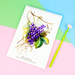 Блокнот-скетчбук А4 20л, ' Aquarelle' виноград, артикул  4