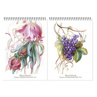 Блокнот-скетчбук А4 20л, ' Aquarelle' виноград, артикул  5