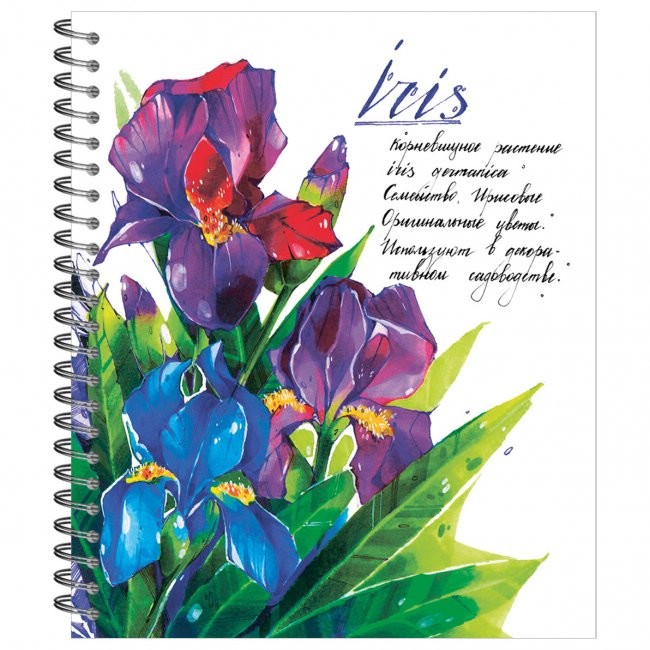 Тетрадь общая 48л на гребне, 'Ботаника' ирис