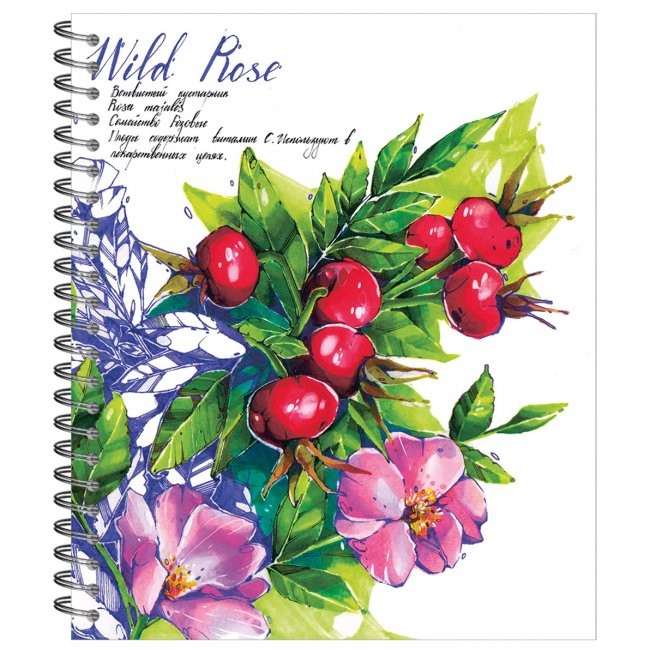 Тетрадь общая 48л на гребне, 'Ботаника' шиповник