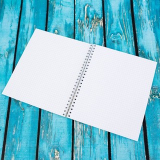 Тетрадь общая 96л на пружинке, 'Енотики' боком 2