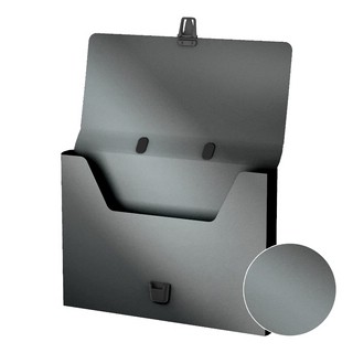 Портфель пластиковый Matt Ice Metallic, FC, серебряный 2