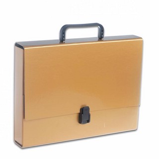 Папка-портфель А4 с ручкой, картон, корешок 4 см, 1 отделение, золотистая, Penmate