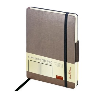 Набор подарочный 'Zenith' ежедневник недатированный и ручка, серый 2