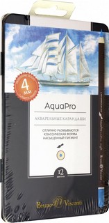 Набор акварельных карандашей 'AquaPro' 12 цветов