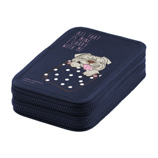 Пенал на молнии 'Собачка', два отделения, 200х130 мм, Bruno Visconti 1