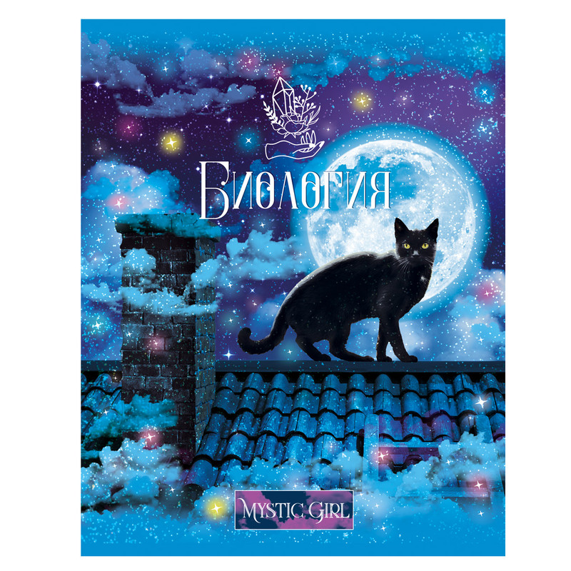 Тетрадь предметная Биология 'Mystic girl' 48 листов