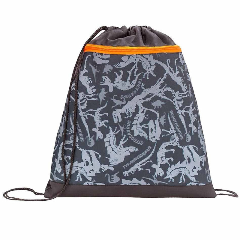 Мешок для обуви Dino, 2 отделения, артикул 336-91