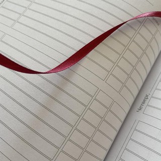 Дневник школьный 'Velvet' 48 листов, фиолетовый 2