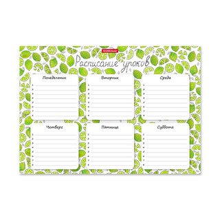 Расписание уроков 'Яркие дольки' А4, ErichKrause 1
