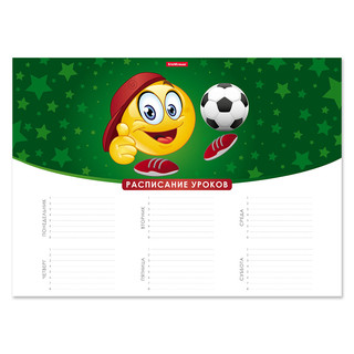 Расписание уроков 'Смайлики. Футбол' А3, ErichKrause