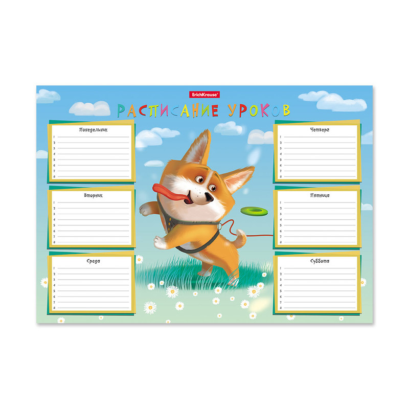 Расписание уроков 'Корги' А4, ErichKrause