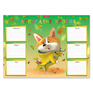 Расписание уроков 'Корги' А3, ErichKrause