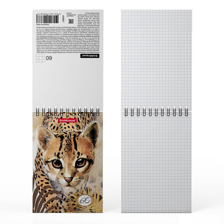 Блокнот на спирали Wild Cat, А6, 60 листов, клетка 2
