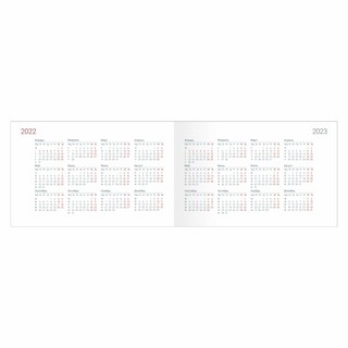 Еженедельник датированный 2022, Infolio Cat, А6, горизонтальный, иск.кожа, бежевый 3