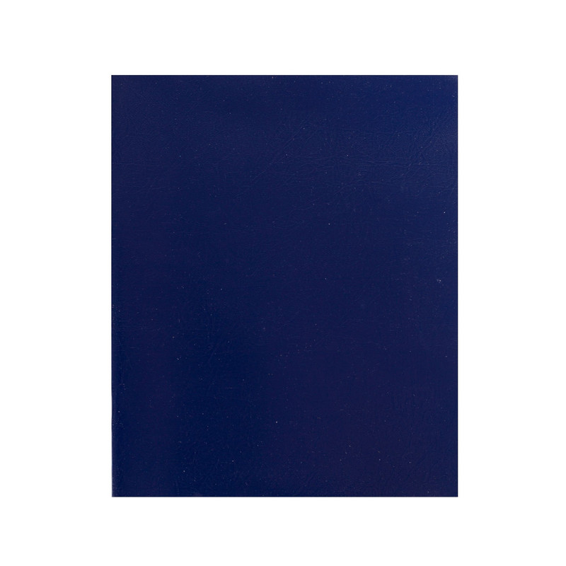 Тетрадь 48 л, А5, клетка, скрепка, бумвинил, синий, Alingar AL5395