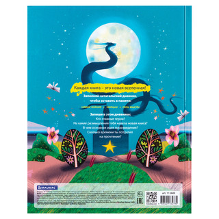 Читательский дневник 'Сказочный замок' А5, 40 листов, твердый 2