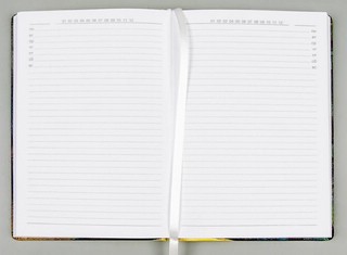 Ежедневник Infolio Paul полудатированный 160 листов, А5 4