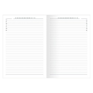 Ежедневник Infolio Paul полудатированный 160 листов, А5 2