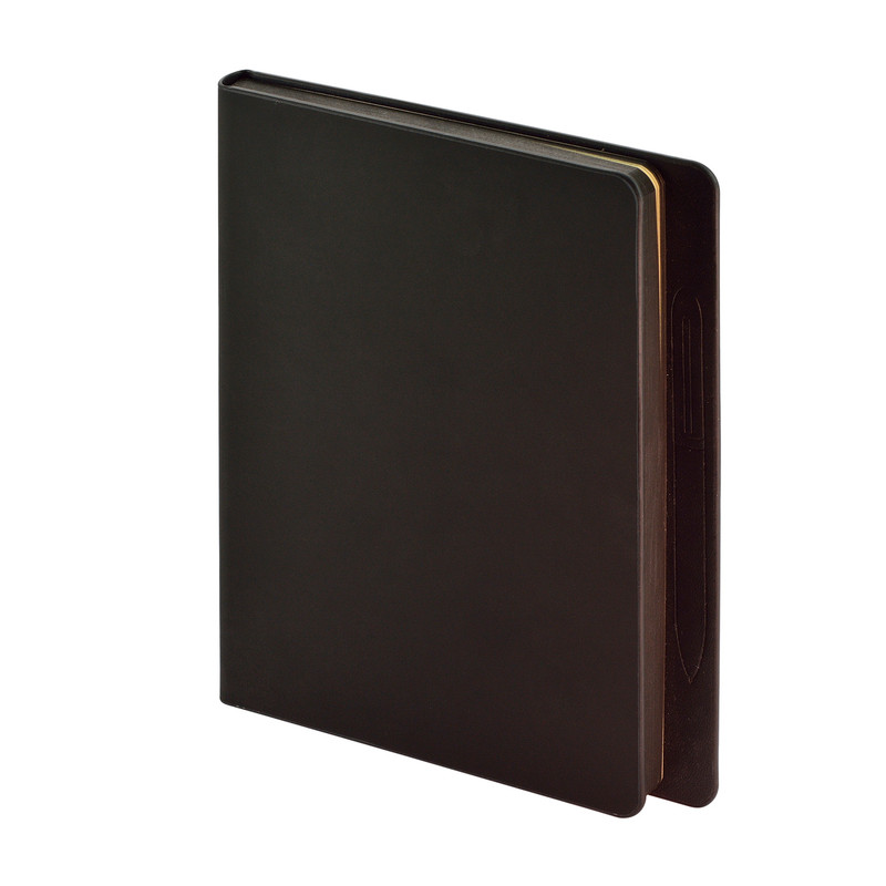 Ежедневник 'Megapolis Magnet', А5, 120 листов (черный) 