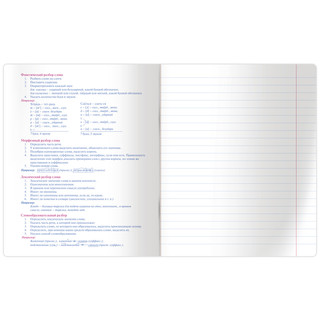 Тетрадь предметная Русский язык 'Квест' 48 листов 2