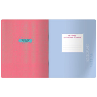 Тетрадь предметная Русский язык 'Квест' 48 листов 4