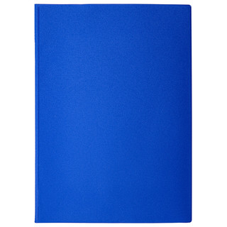 Папка для семейных документов с файлами 12 отделений, ПВХ, STAFF 6