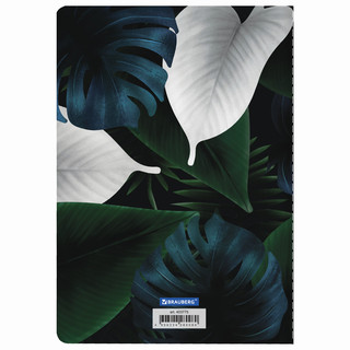 Тетрадь А5, 40 л. в клетку Brauberg.Тукан, обложка SoftTouch 8