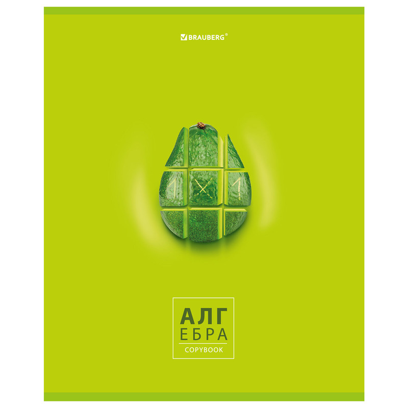 Тетрадь предметная Алгебра 'Avocado' 48 листов