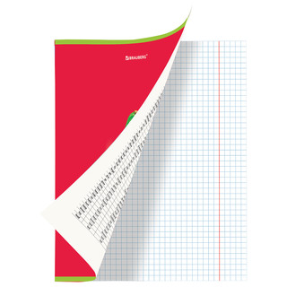 Тетрадь предметная Английский язык 'Avocado' 48 листов 2