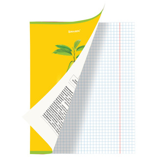 Тетрадь предметная Биология 'Avocado' 48 листов 2