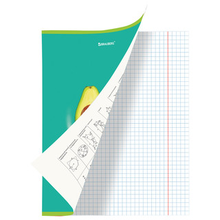 Тетрадь предметная Геометрия 'Avocado' 48 листов 2