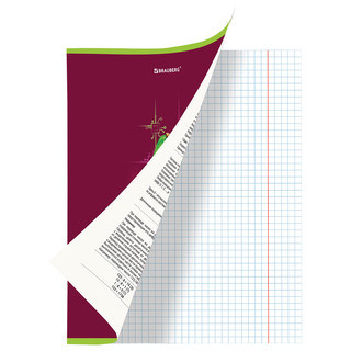 Тетрадь предметная Информатика 'Avocado' 48 листов 2