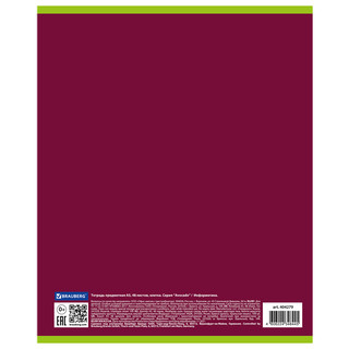 Тетрадь предметная Информатика 'Avocado' 48 листов 7