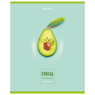 Тетрадь предметная Обществознание 'Avocado' 48 листов