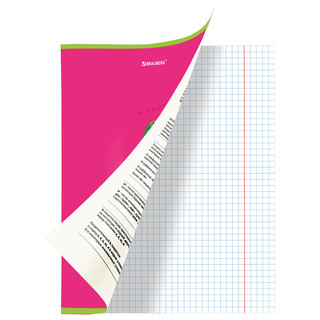 Тетрадь предметная Русский язык 'Avocado' 48 листов 2