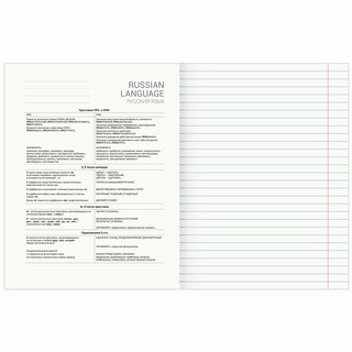Тетрадь предметная Русский язык 'Avocado' 48 листов 4