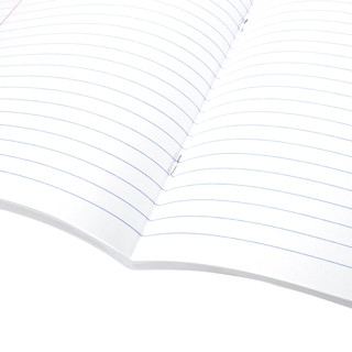 Тетрадь предметная Русский язык 'Avocado' 48 листов 6